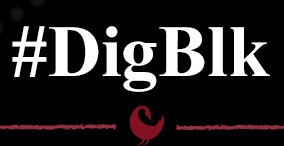 DigBlk Logo